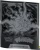 Pokémon TCG Mega Evolution - Pitch Black - Elite Trainer Box (13).webp